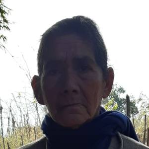 GONZALEZ, Transito Cruz